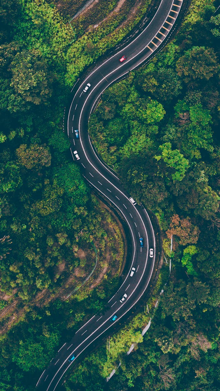 Services A sweeping aerial view of an S-shaped road winding through vibrant green Malaysian forest.